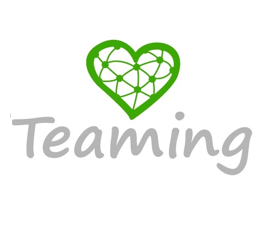 Teaming - Donnez 1€ par mois